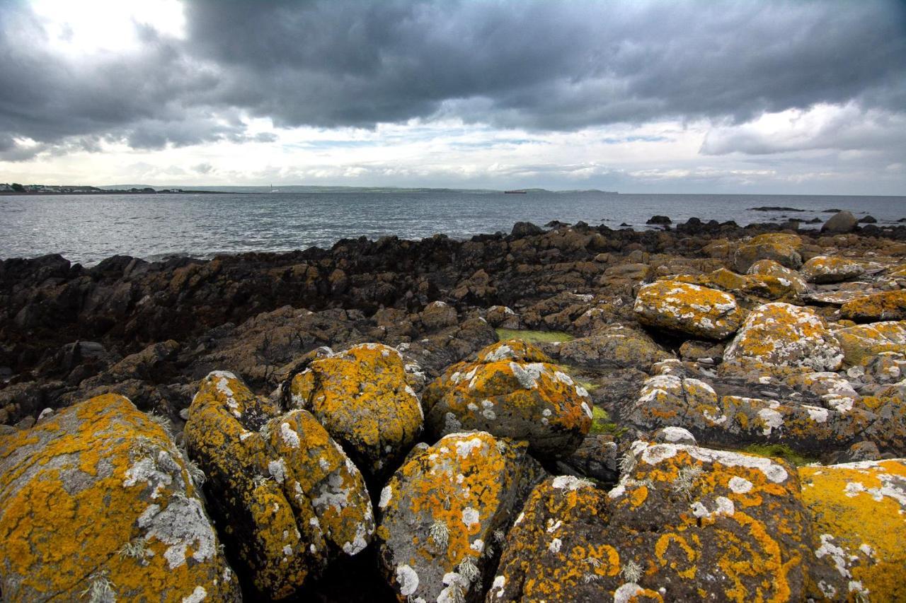 Tern Cottage Groomsport Esterno foto